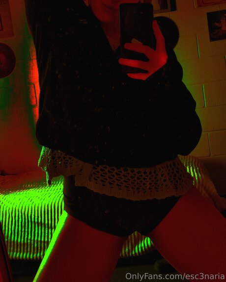 Esc3naria Profile pic