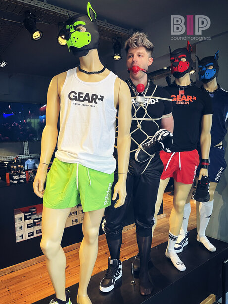 Boundinprogress pornstar perfect archive