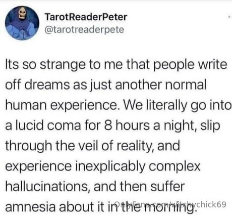 huge fake tits onlyfans free sex galleries