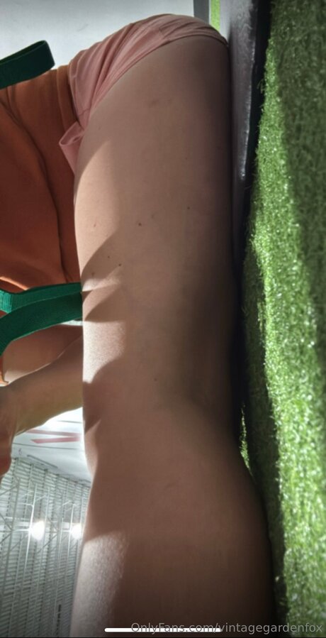 Vintagegardenfox model high quality gallery