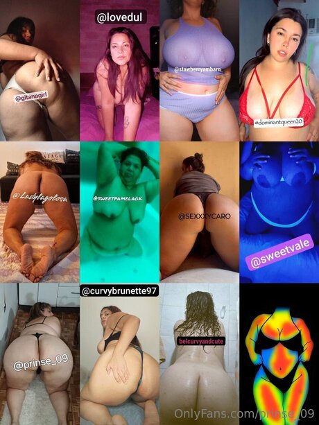 Prinse 09 star art photo