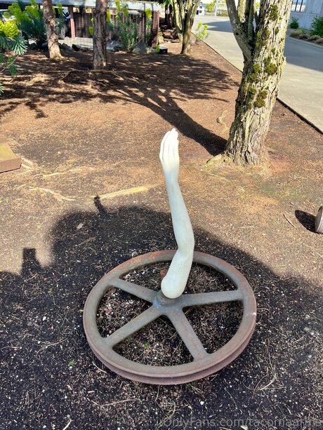 Tacomaarms star sex picture