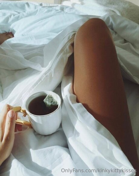 Kinkykittykisses art star galleries