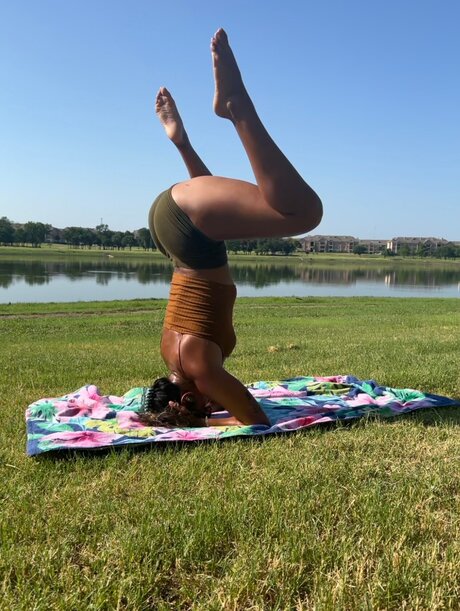 Twrecks11 star pornographic archive