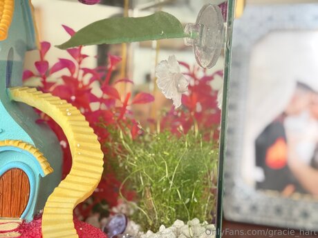 Gracie Hart high quality actress img