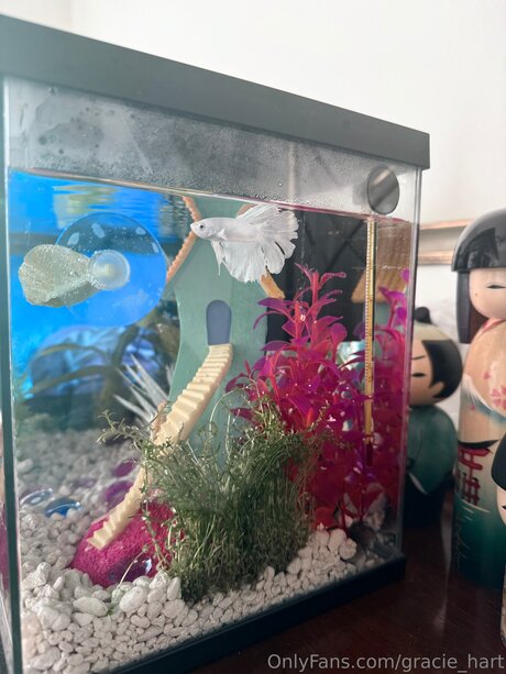 Gracie Hart pretty star photo