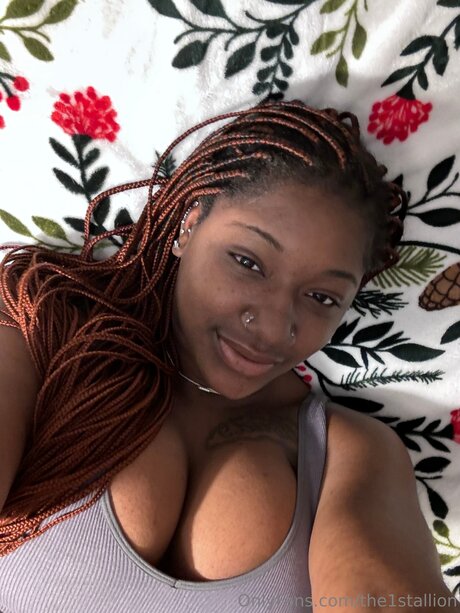 The1stallion erotic pornstar galleries