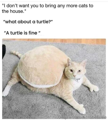 Isabelame nude model pics