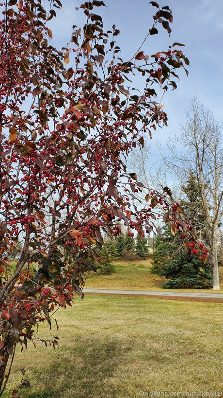 Tumakbaluk pretty model photo