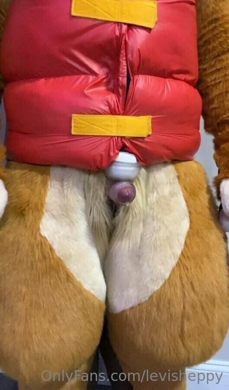 levisheppy star sexy gallery