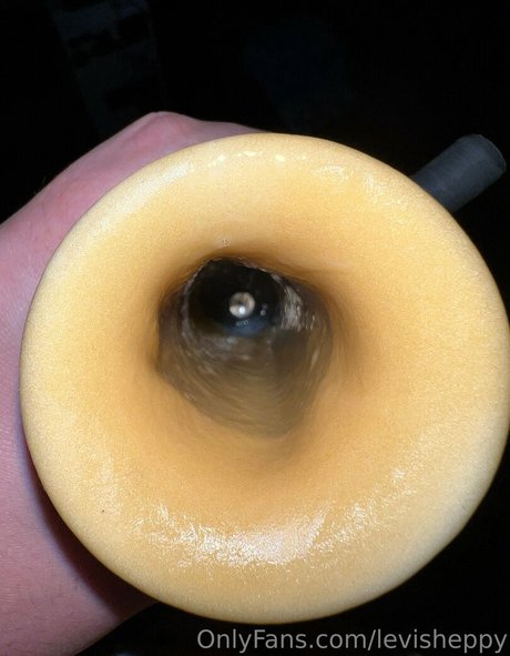 levisheppy best model image