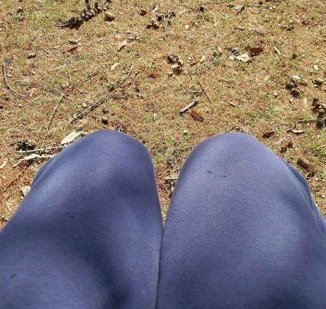 softchili star sexy gallery