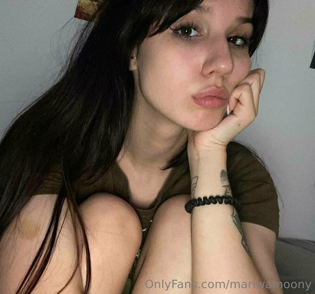 sakurawaifu hd star picture