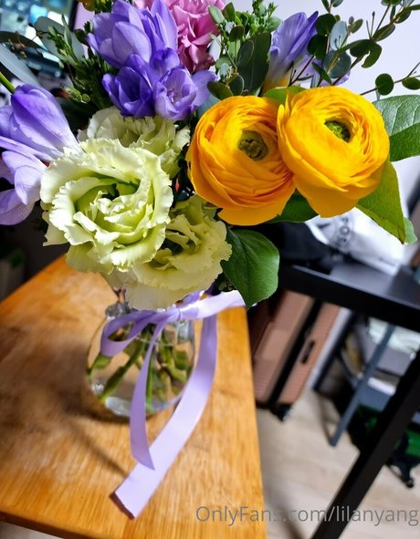 lilanyang porn star photos