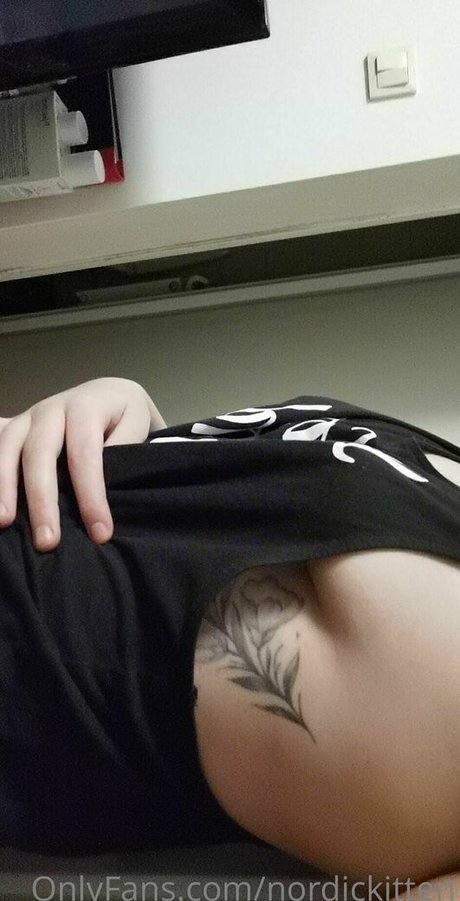 nordickitten pornstar image