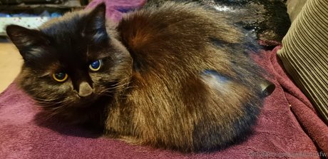 joebutnsfw hot actress pic