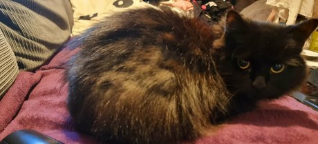 joebutnsfw model art images