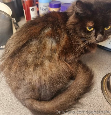 joebutnsfw nudes pornstar picture