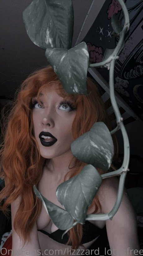 lizgizzardfree star nice photo