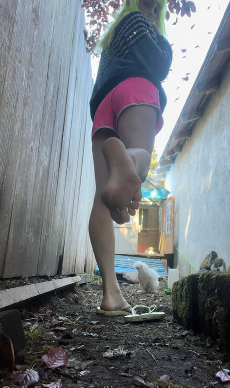 lizgizzardfree pornstar top image