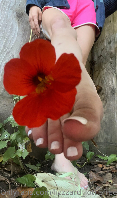 lizgizzardfree model nude galleries