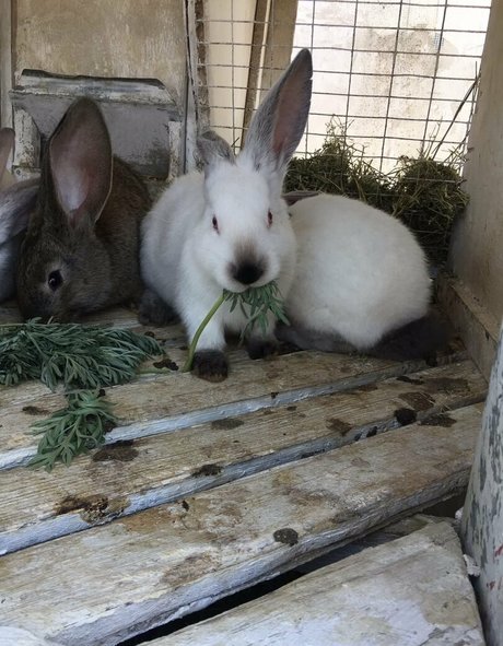 russian mature onlyfans nudes pic