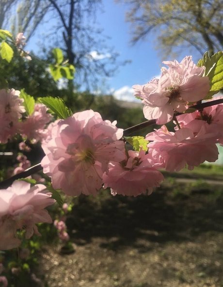 mirniy sex model galleries