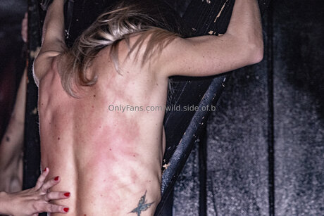 wild side of b star nude archive