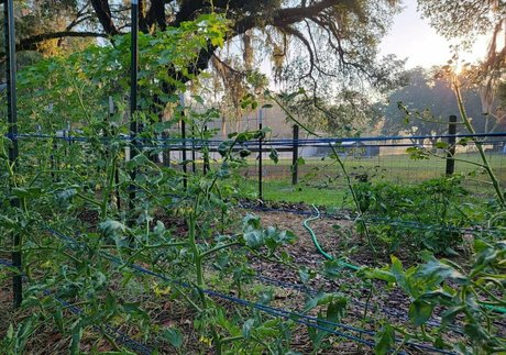 deealice sex model photos