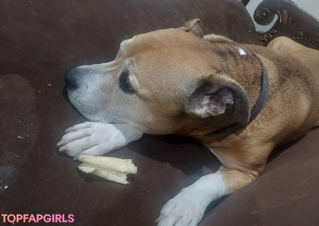 stellaaeternum pornstar hd gallery