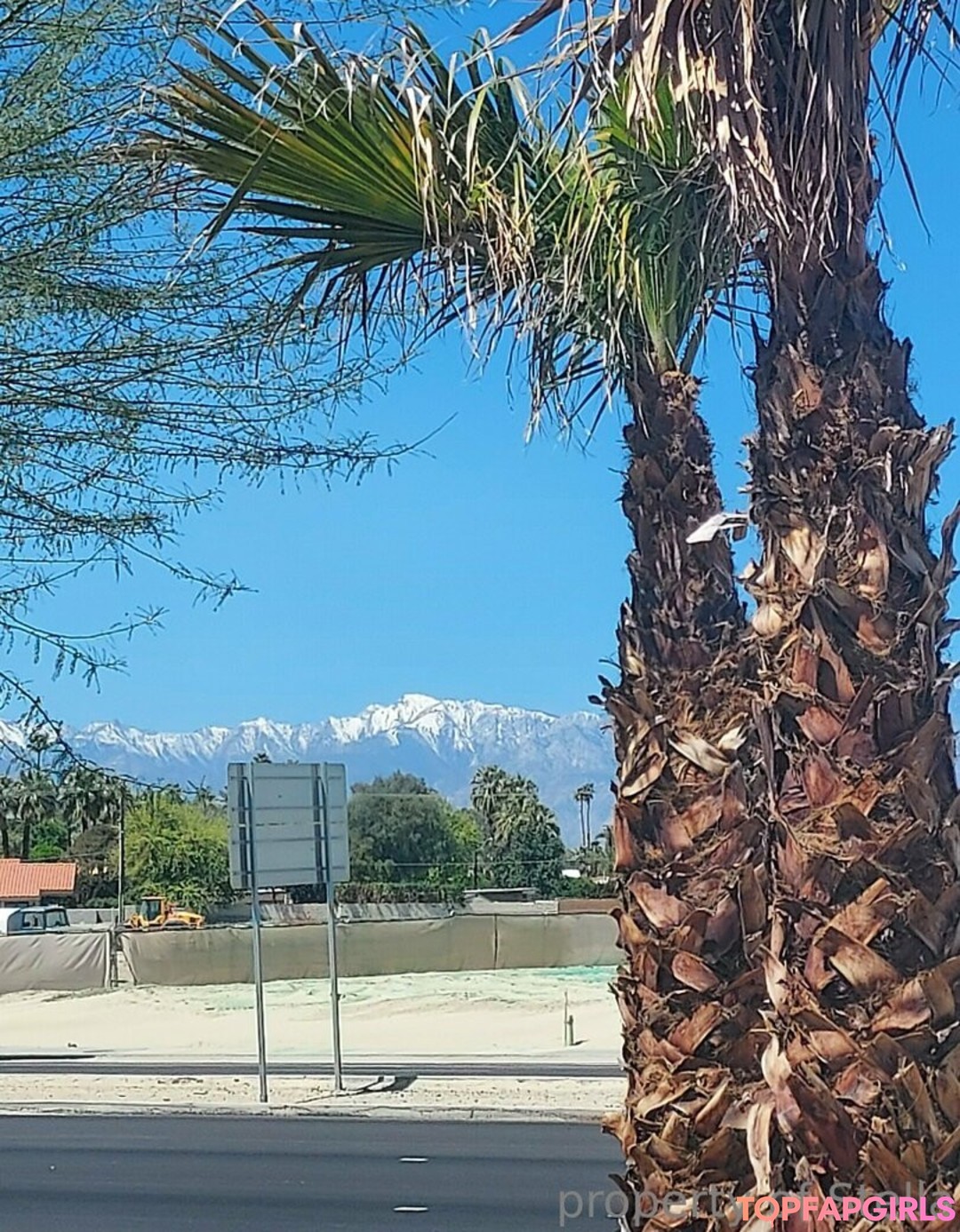 stellaaeternum high quality actress pictures