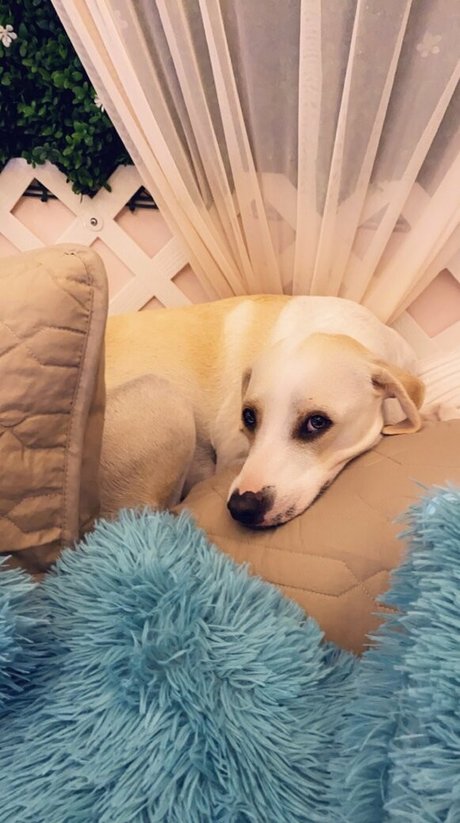 gingermfc model nude pic