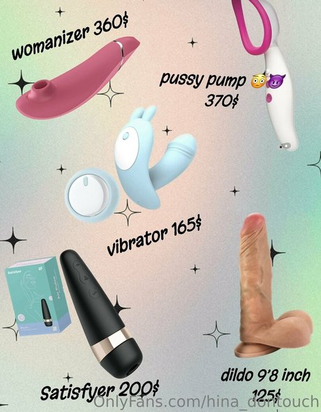 hina dontouch art model img