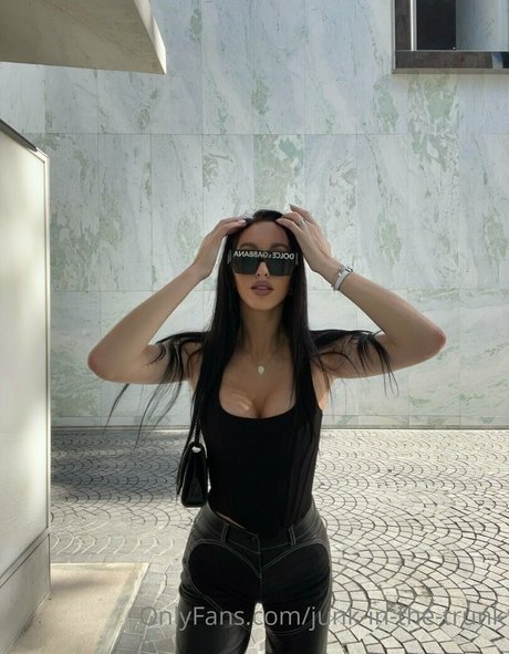 elleventures high quality star photo