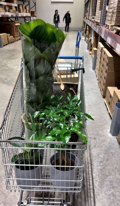 taylorburton model pretty pic