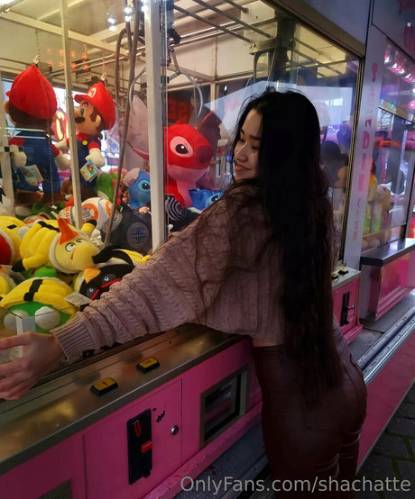 shachatte model perfect gallery