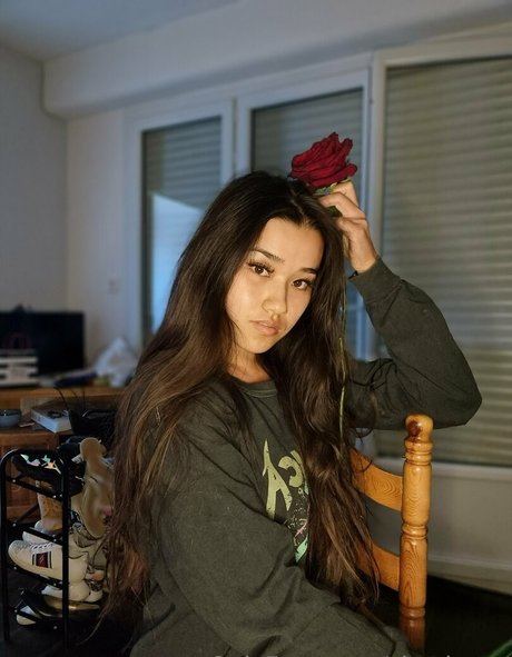 shachatte model exclusive image