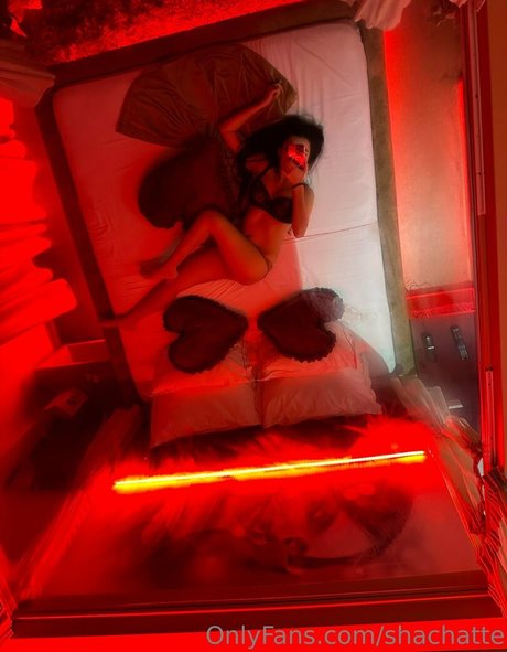 shachatte nudes star picture