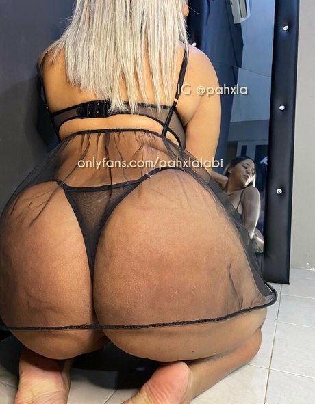 pahxlalabi free model image