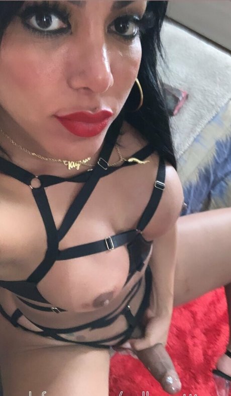 ayllagatina star top pic