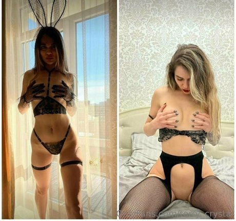 terry crystal star best img