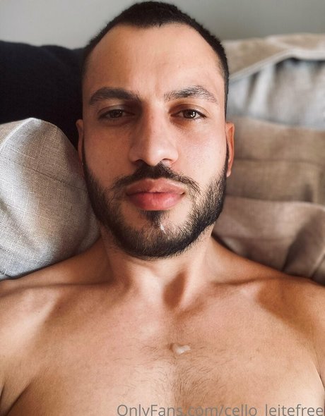 cello leitefree star adult galleries