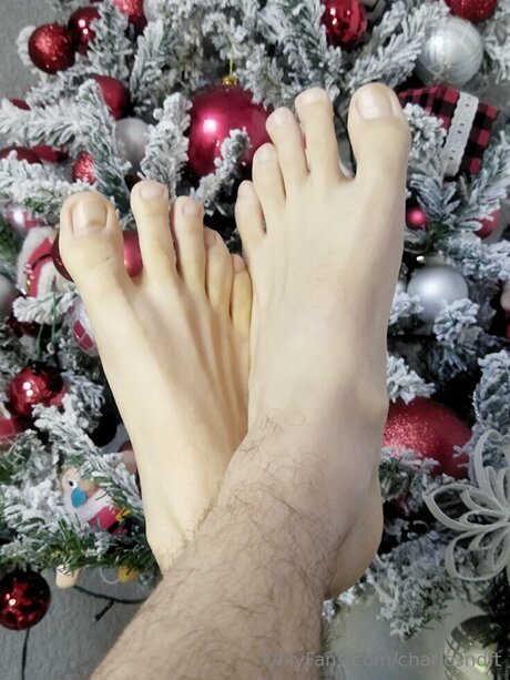 Charlesndft erotic star img