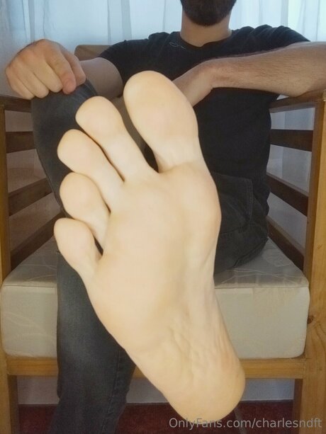 Charlesndft art pornstar photo