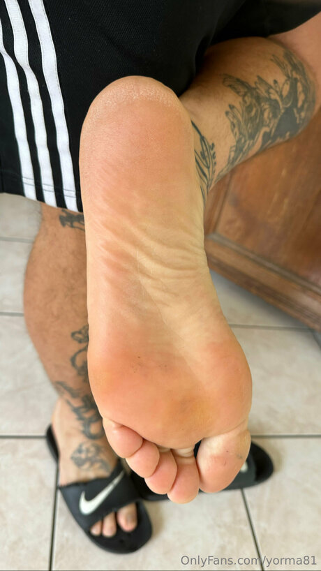 Yorma81 star gallery