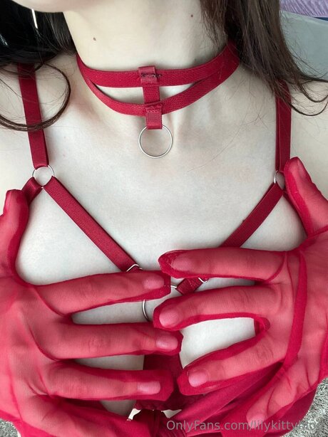 Lilykittyblog star perfect images