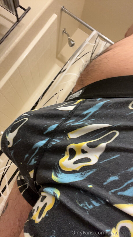 Seacookie erotic model picture