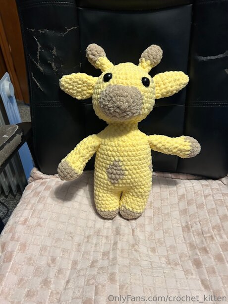 Crochet Kitten star pretty photos