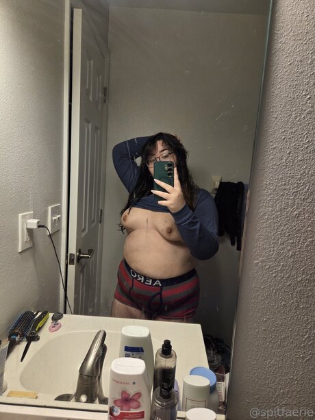 Spitfaerie hd model pictures