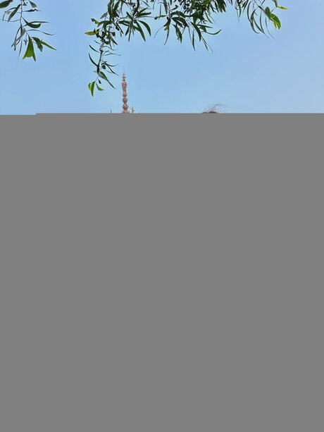 Lilia Ss nude pornstar archive